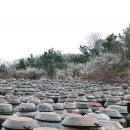 금환농원 동아일보