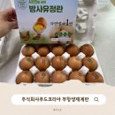 주식회사 보고코리아