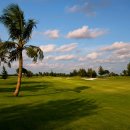 루비트리 이미지