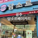 담소르 이미지