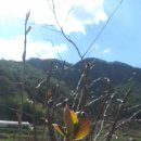 만세동농장 이미지