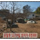 옥성2리마을회관 이미지