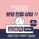 신영산업 | [평택화양신영지웰]축하금 받고 분양 후기(계약금 0,축하금500만원)