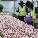 백양산 양묘장 이미지