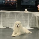 두유 개린이집 이미지