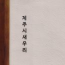 어쩌다제주 이미지