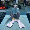 엉아돈한판 | [세부 여행] 세부 유니버스 다이브💫 - 두번 방문한 주니어 호핑 후기🧡