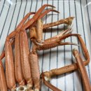 딸부자 펜션 이미지