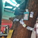 느티나무레스토랑 이미지