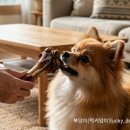 먹다 네이버블로그