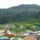 둥지캠핑장 이미지