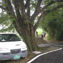 새골낚시터 이미지