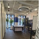 플라워샵 취창업을 위한 꽃꽂이 | 원주 플라워샵 추천! 감성 가득한 원주꽃집연수갤러리 관엽식물·난까지 한곳에서 해결