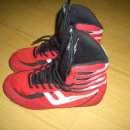 트윈스 MMA 이미지