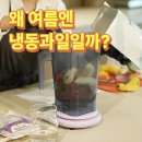 스노우블러섬 - 5213 | 생과일을 뛰어넘는 냉동과일의 비밀 클래스 후기