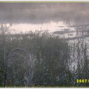 공간낚시 이미지