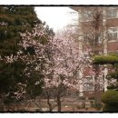 전라남도대학교 국동캠퍼스 (앞) 이미지