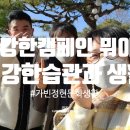 주식회사 탑건강 이미지