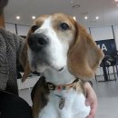 동물의 왕국 이미지