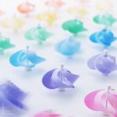 한인터내셔널 이미지