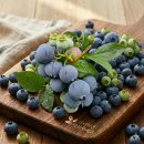 거제시농업기술센터 | 거제시 농업기술센터에서 만난 AI! 석선옥 강사님께 배운 ‘농산물 마케팅의 미래’