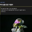 시편 50편 - 하나님을 잊은 자들아 이미지