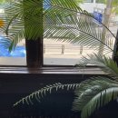 코러스커피 이미지