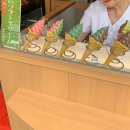 버스정류장 05-294 | 교토 청수사(기요미즈데라) 걷고 규카츠 쨥쨥
