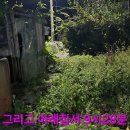 윈풀