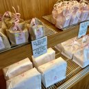 샌드U | 🌊 제주 우도카페 추천 땅콩 디저트 맛집 우도샌드 솔직 후기