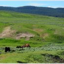 너른초원 이미지