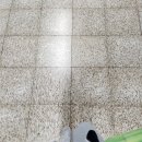 남이섬설리조트1 이미지