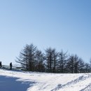 근덕목장 Daum카페