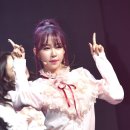 엘린 이미지