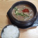 [국내여행] 7월 제주도 1일차 - 롯데 렌터카, 우진 해장국, 우도, 이치비 민박