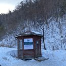 웨그(Wag) 이미지