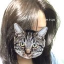 흑갈후 이미지
