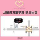 서울리거피부과의원