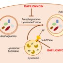 청혈한의원 이미지