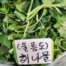 경동나물