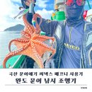 쌍용휴게소 | 국산 문어에기 씨넥스 매끄니 사용기｜완도 돌문어낚시 조행기