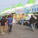 금강건어물 | 장항항 꼴갑축제, 주차보다 먼저 볼 먹거리 순서