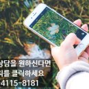 모텔핑크로즈 이미지