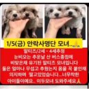 행복플러스동물병원 이미지