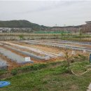 영종농장 이미지