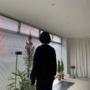 스몰포레스트 네이버블로그