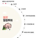 봄꽃힐링투어 이미지
