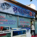 괭이바다 이미지