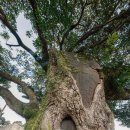 서동1구 이미지