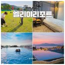 이마트24강화흥왕리점 | 강화 대가족 여행 숙소 추천 엘리야리조트 풀빌라 야외수영장 게이트볼까지